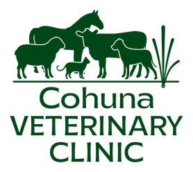 Cohuna Vet logo