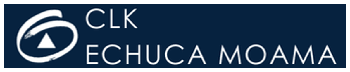 First National Charles L King & Co logo